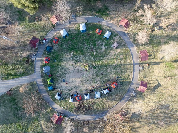 Camping familial et animaux de compagnie : tout ce qu'il faut savoir